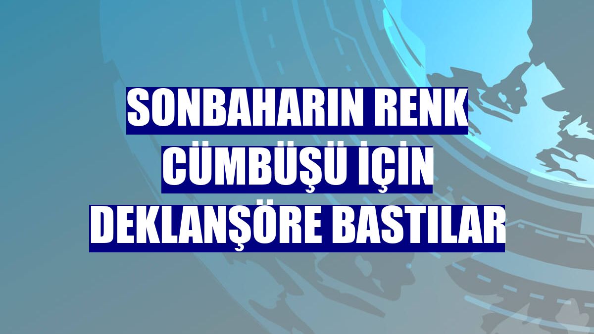 Sonbaharın renk cümbüşü için deklanşöre bastılar
