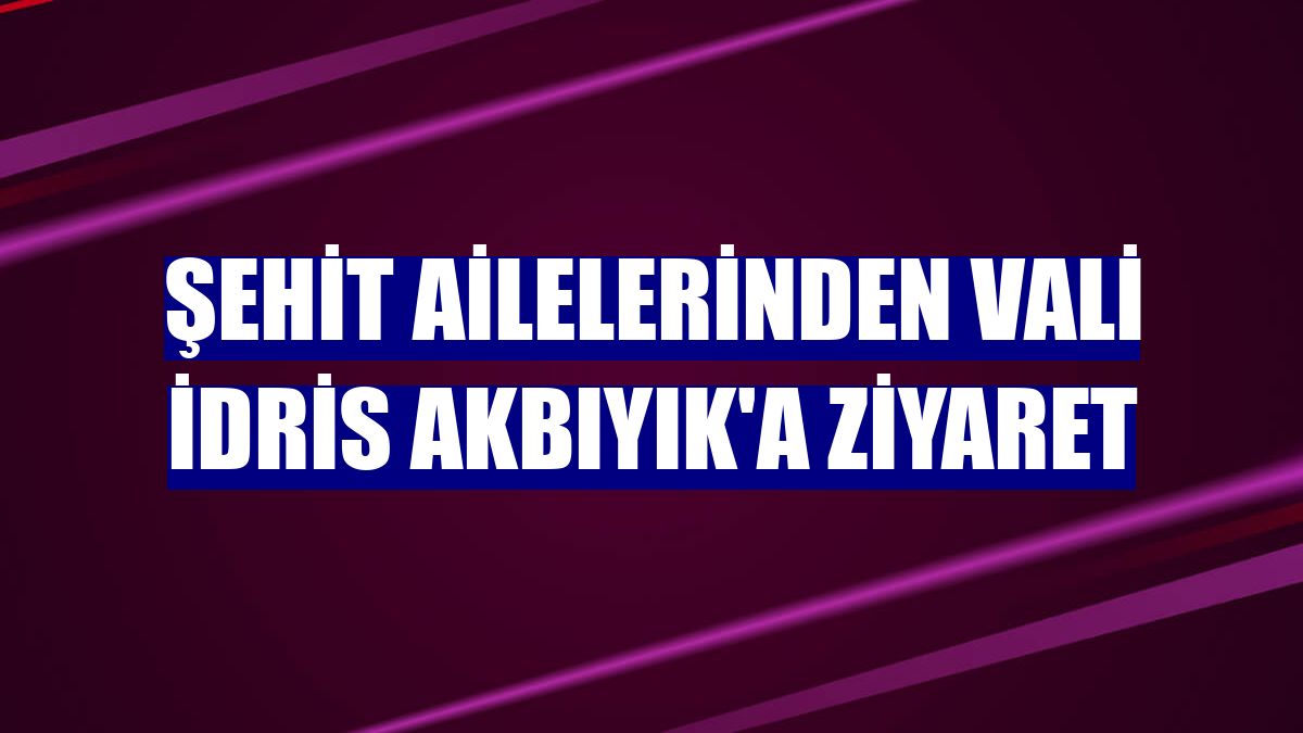 Şehit ailelerinden Vali İdris Akbıyık'a ziyaret