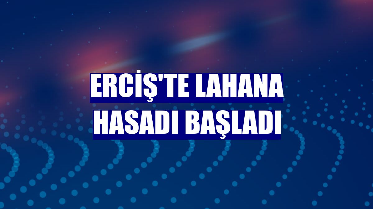 Erciş'te lahana hasadı başladı