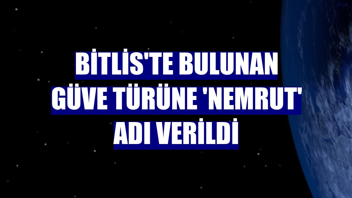 Bitlis'te bulunan güve türüne 'Nemrut' adı verildi