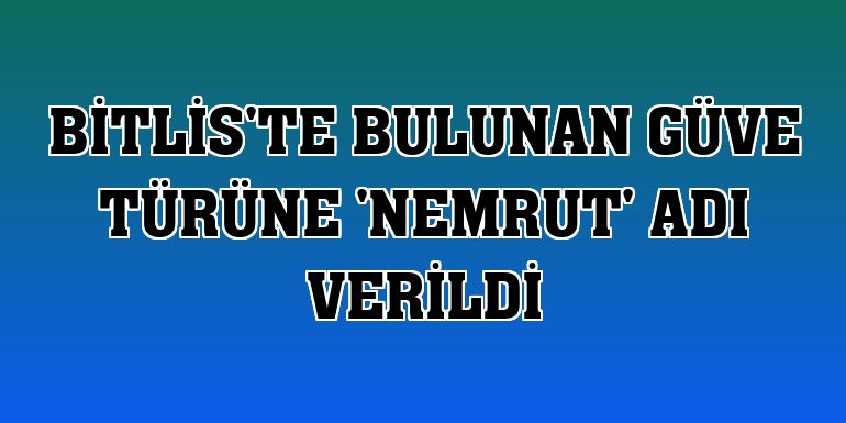 Bitlis'te bulunan güve türüne 'Nemrut' adı verildi