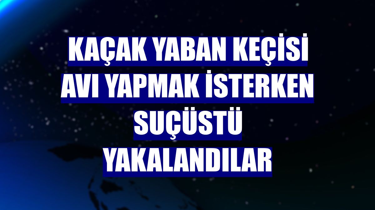Kaçak yaban keçisi avı yapmak isterken suçüstü yakalandılar