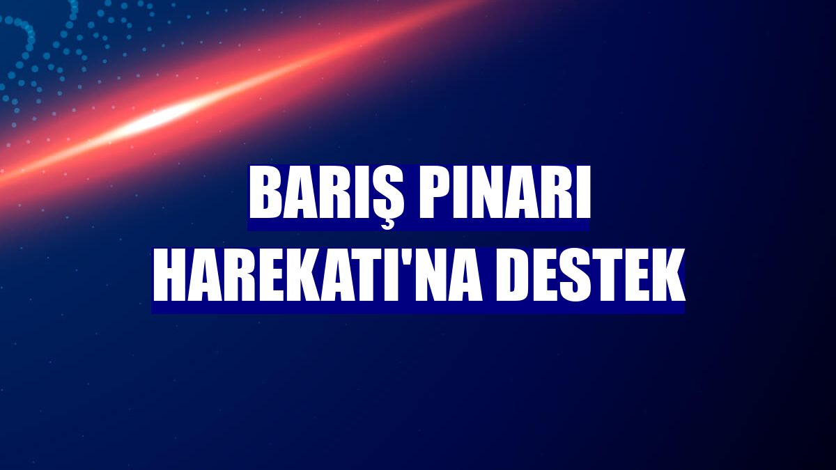 Barış Pınarı Harekatı'na destek