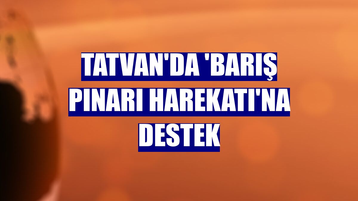 Tatvan'da 'Barış Pınarı Harekatı'na destek