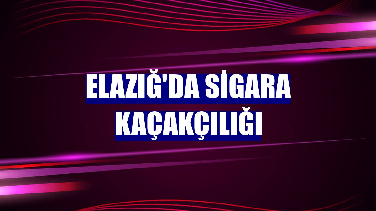 Elazığ'da sigara kaçakçılığı