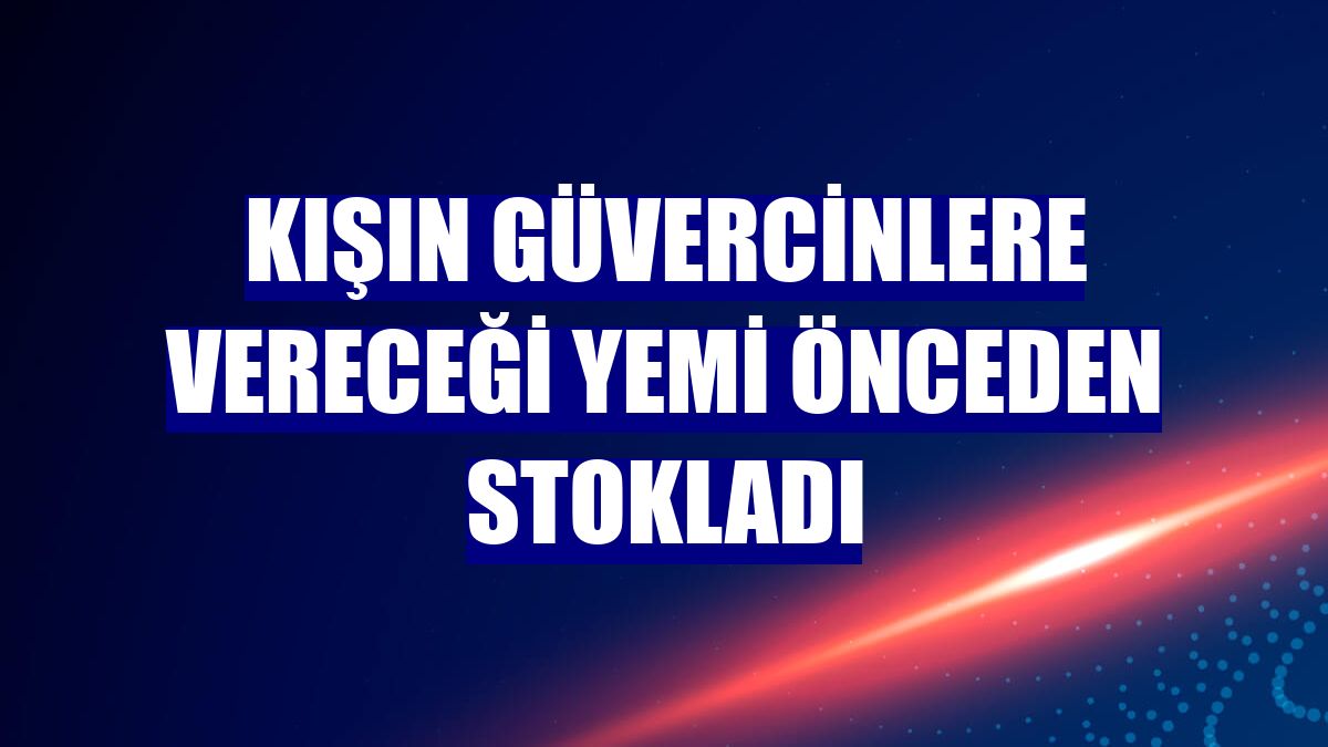 Kışın güvercinlere vereceği yemi önceden stokladı