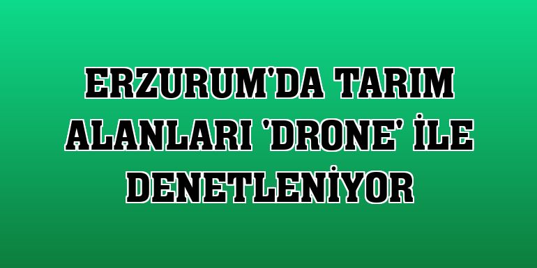 Erzurum'da tarım alanları 'drone' ile denetleniyor
