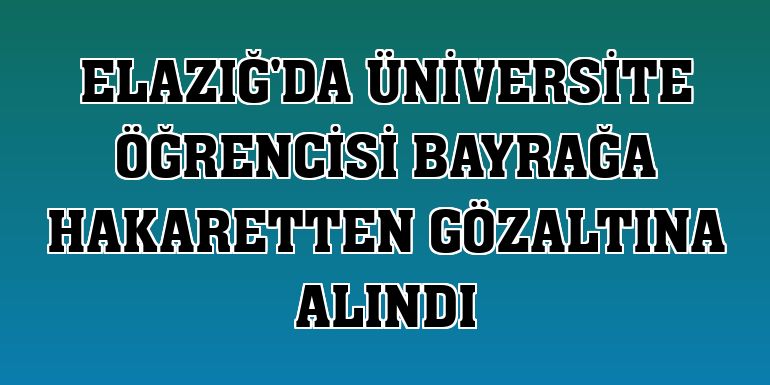 Elazığ'da üniversite öğrencisi bayrağa hakaretten gözaltına alındı