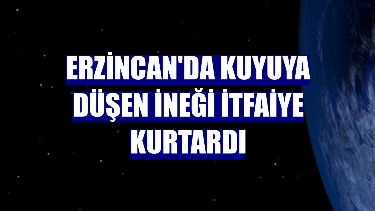 Erzincan'da kuyuya düşen ineği itfaiye kurtardı