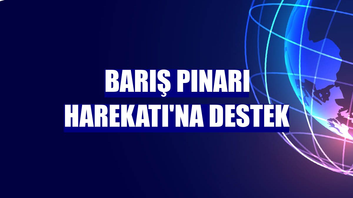 Barış Pınarı Harekatı'na destek