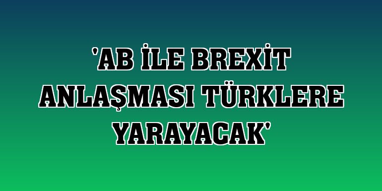 'AB ile Brexit anlaşması Türklere yarayacak'