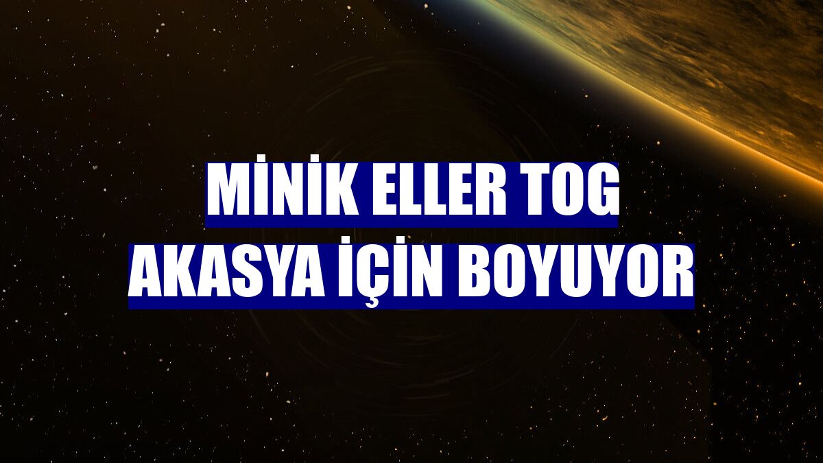 Minik eller TOG Akasya için boyuyor