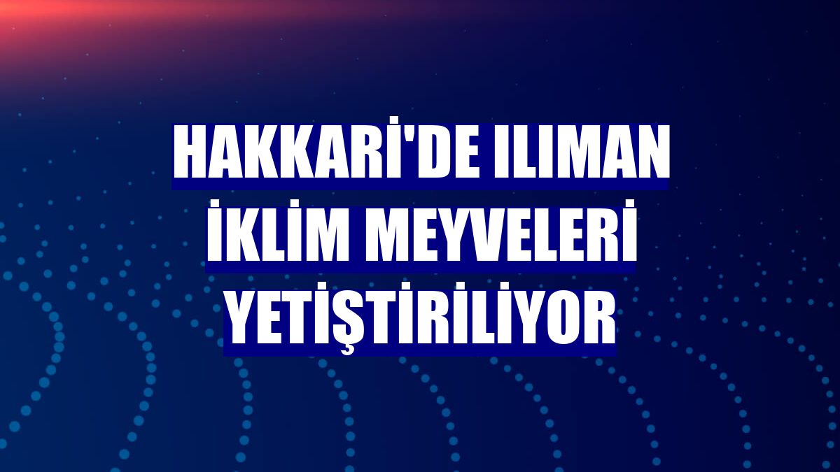 Hakkari'de ılıman iklim meyveleri yetiştiriliyor