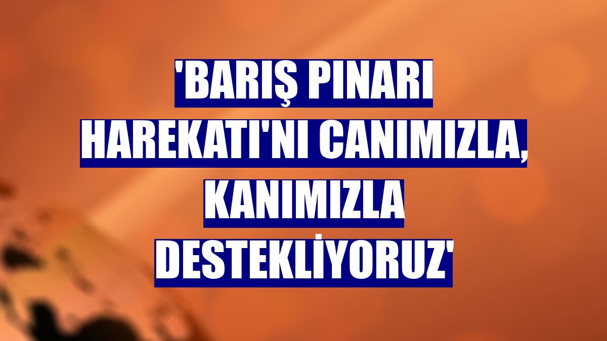 'Barış Pınarı Harekatı'nı canımızla, kanımızla destekliyoruz'