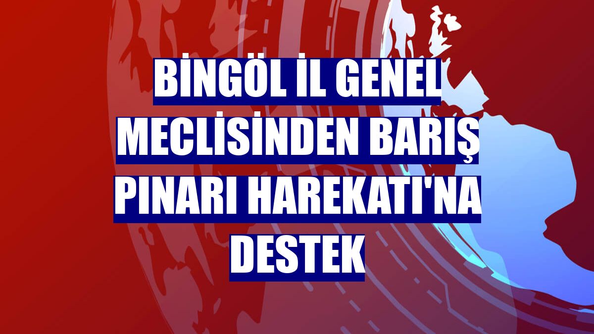 Bingöl İl Genel Meclisinden Barış Pınarı Harekatı'na destek