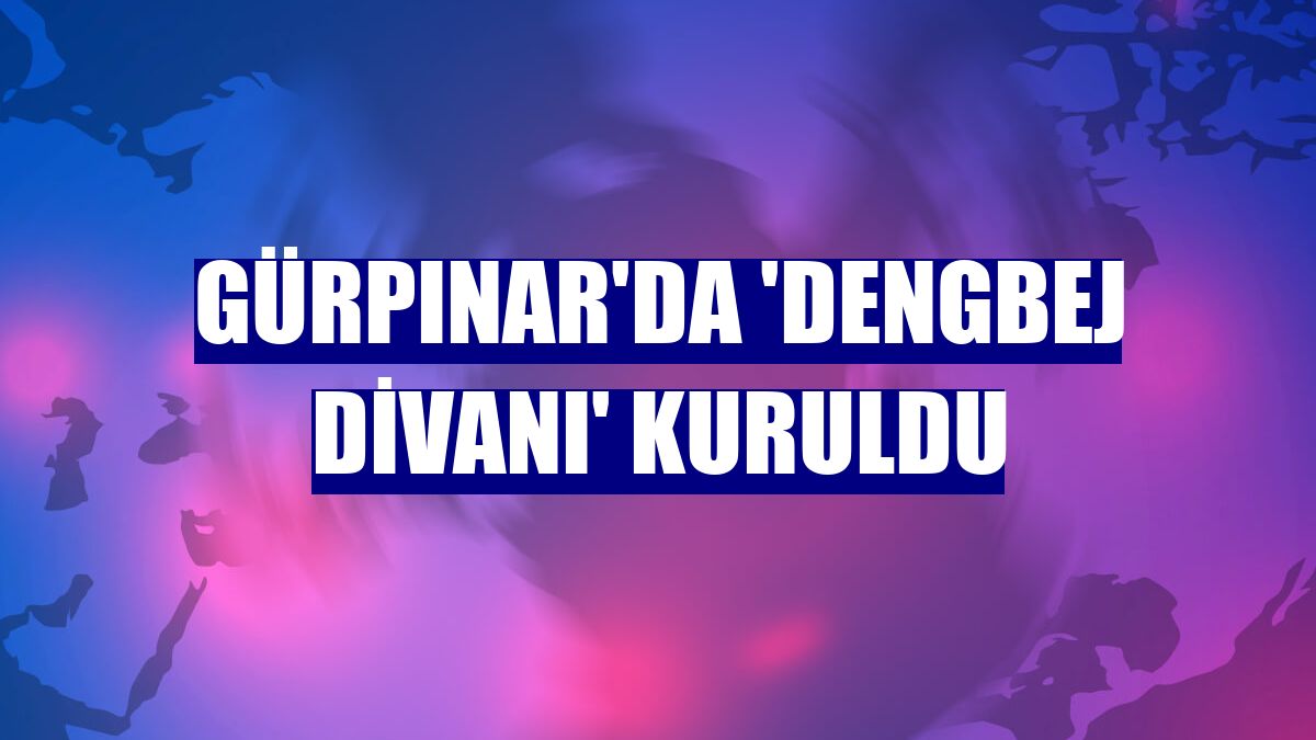 Gürpınar'da 'dengbej divanı' kuruldu