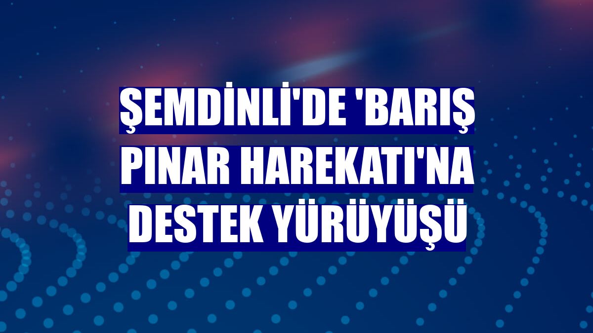 Şemdinli'de 'Barış Pınar Harekatı'na destek yürüyüşü