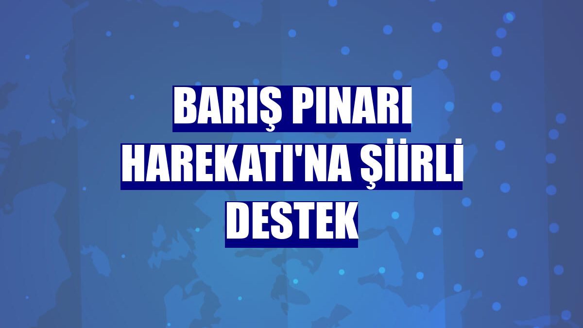 Barış Pınarı Harekatı'na şiirli destek