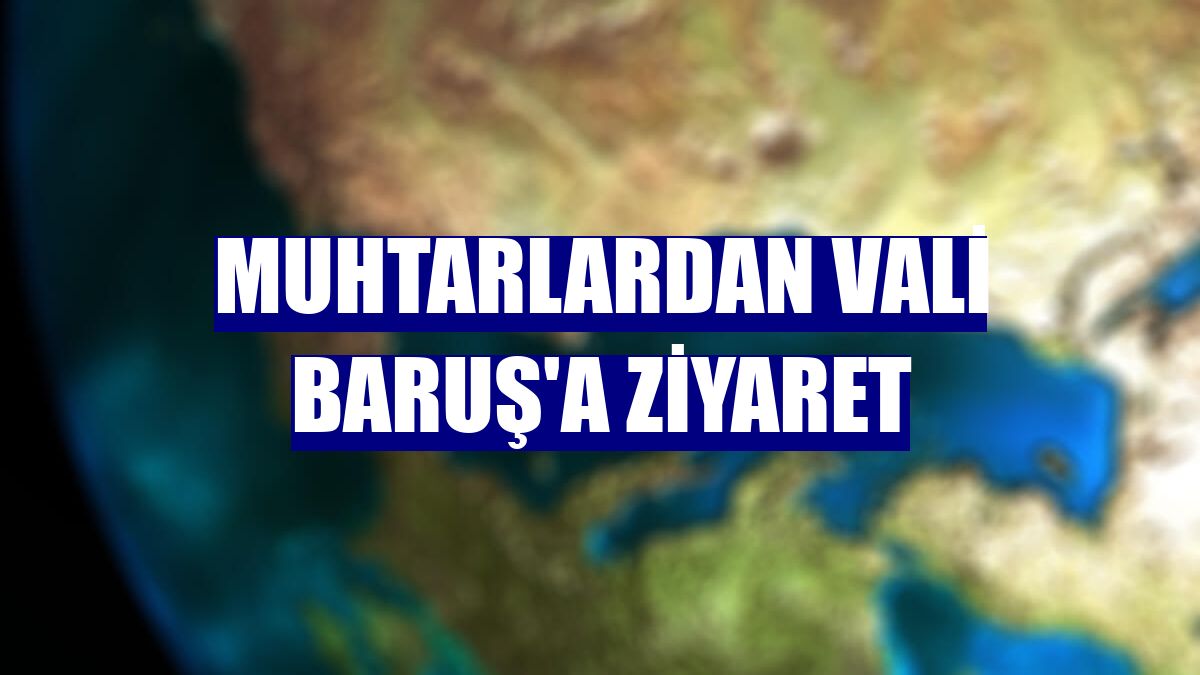Muhtarlardan Vali Baruş'a ziyaret