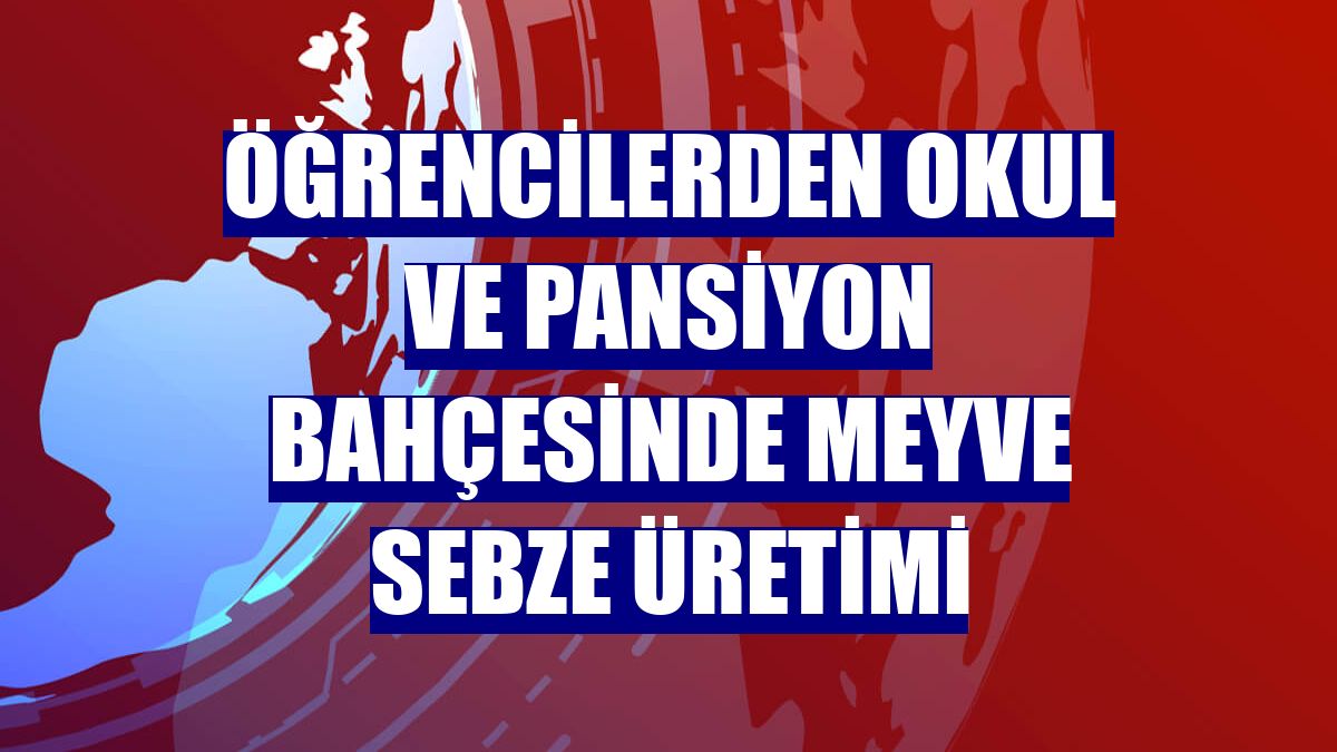 Öğrencilerden okul ve pansiyon bahçesinde meyve sebze üretimi