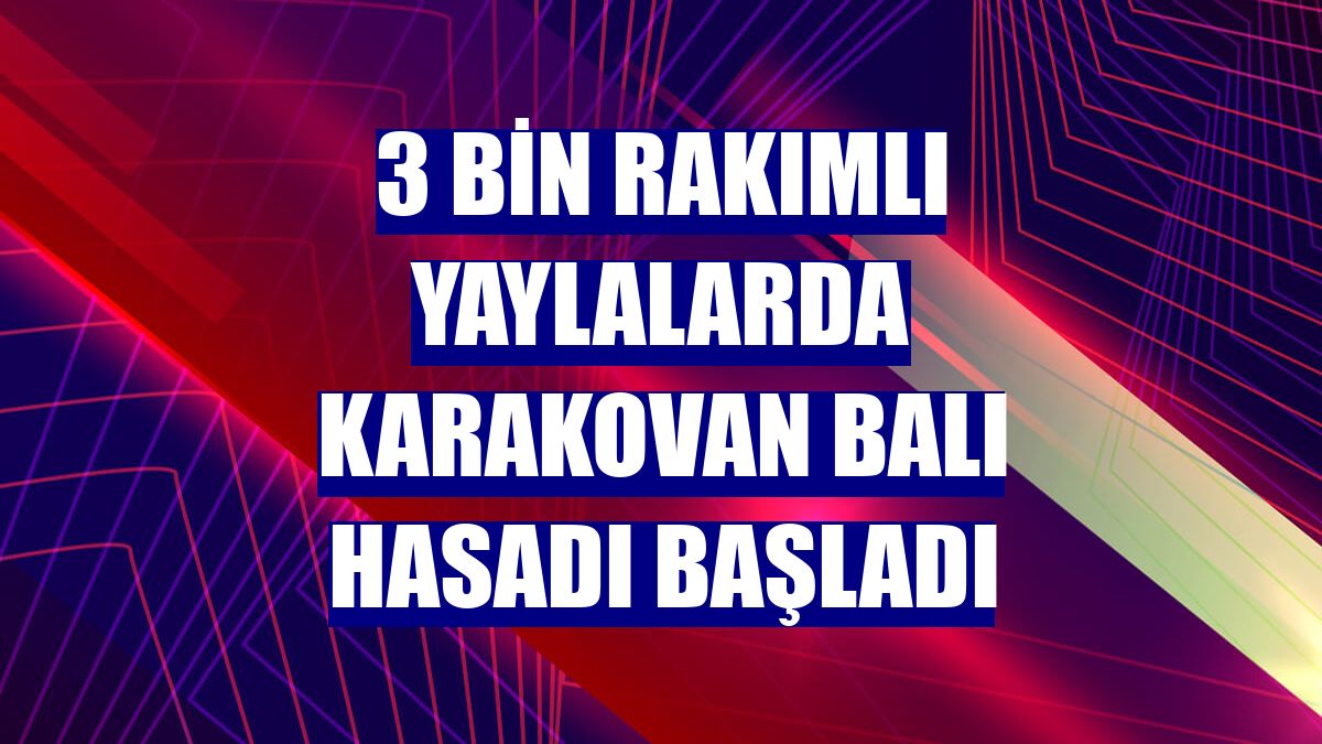3 bin rakımlı yaylalarda karakovan balı hasadı başladı