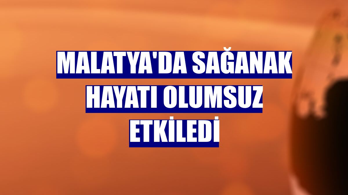 Malatya'da sağanak hayatı olumsuz etkiledi