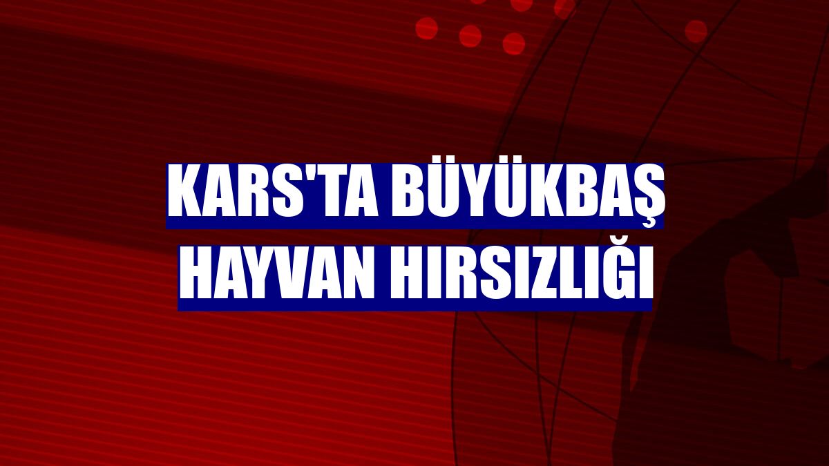 Kars'ta büyükbaş hayvan hırsızlığı