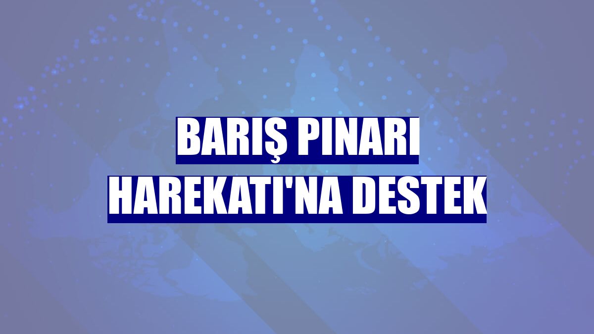 Barış Pınarı Harekatı'na destek