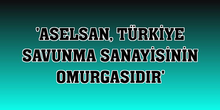 'ASELSAN, Türkiye savunma sanayisinin omurgasıdır'