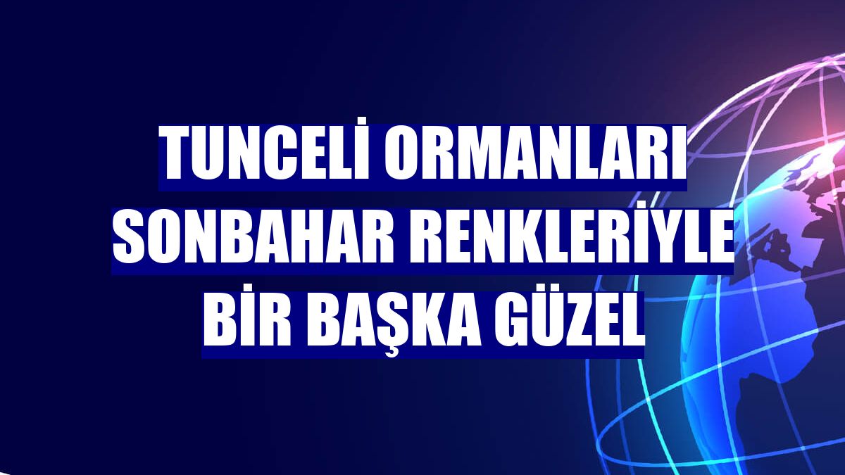 Tunceli ormanları sonbahar renkleriyle bir başka güzel