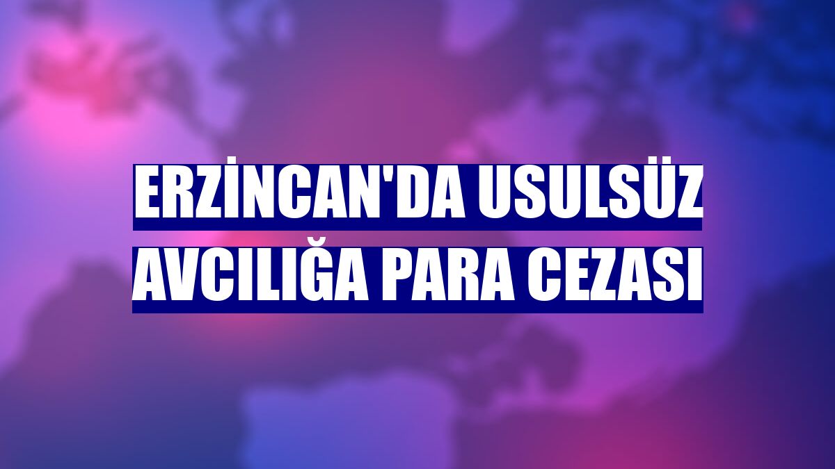 Erzincan'da usulsüz avcılığa para cezası