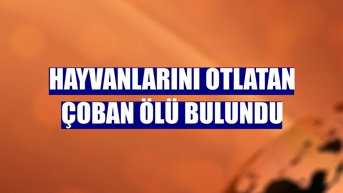 Hayvanlarını otlatan çoban ölü bulundu