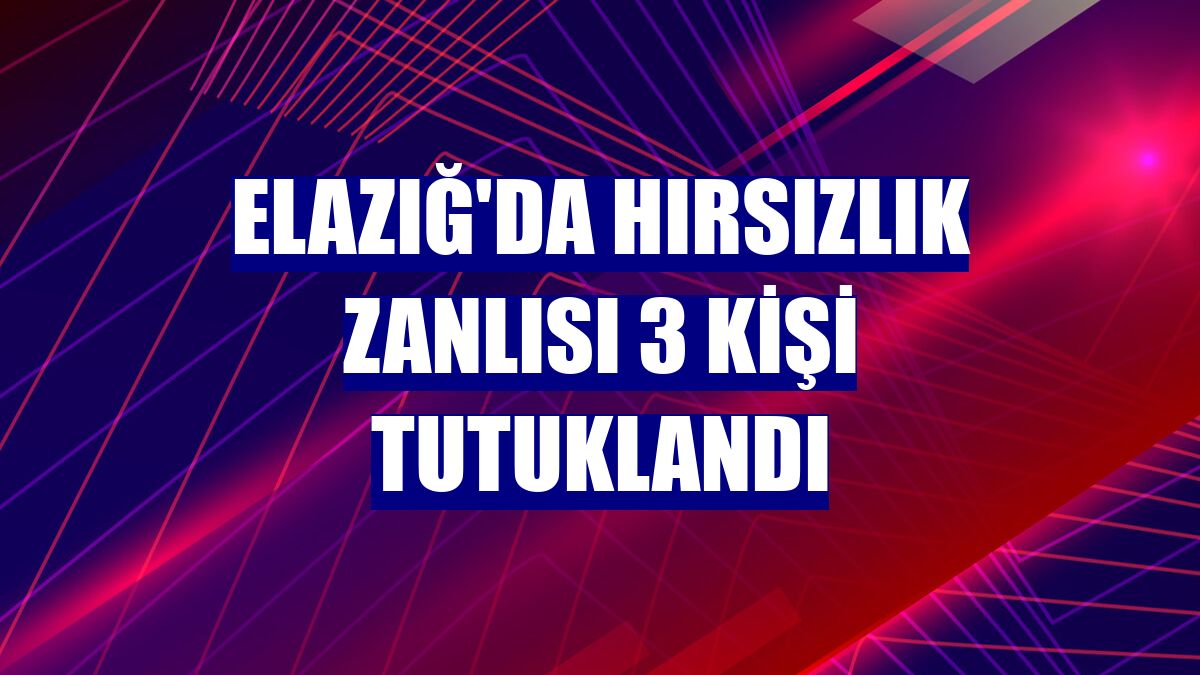 Elazığ'da hırsızlık zanlısı 3 kişi tutuklandı
