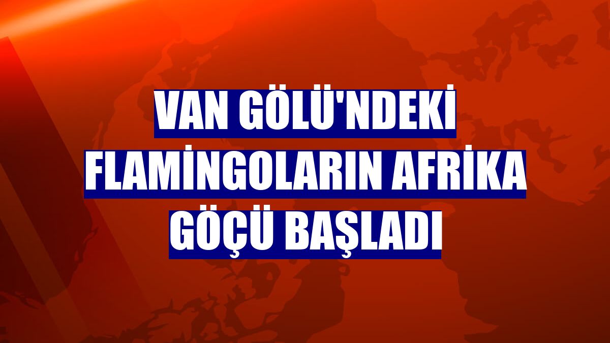 Van Gölü'ndeki flamingoların Afrika göçü başladı