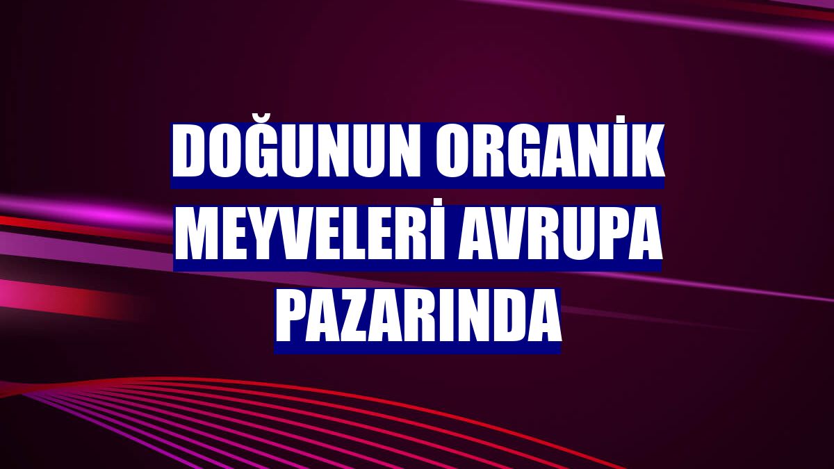 Doğunun organik meyveleri Avrupa pazarında