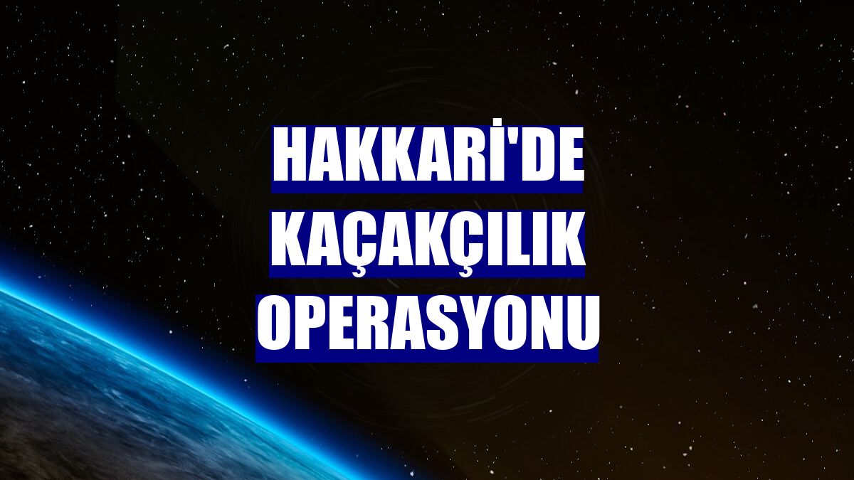 Hakkari'de kaçakçılık operasyonu