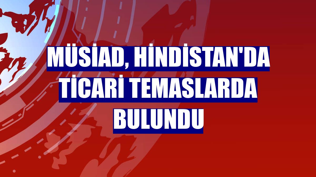 MÜSİAD, Hindistan'da ticari temaslarda bulundu
