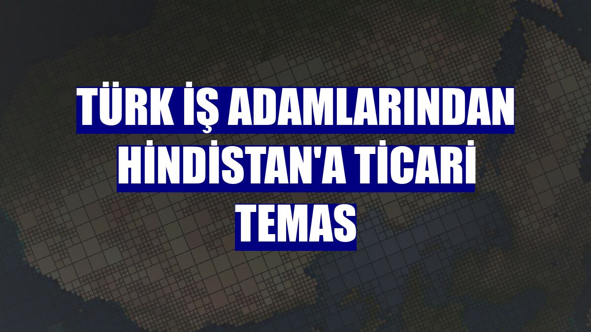 Türk iş adamlarından Hindistan'a ticari temas