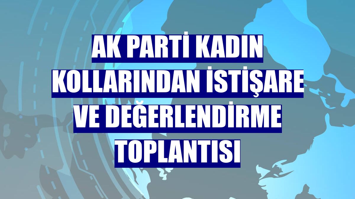 AK Parti Kadın Kollarından istişare ve değerlendirme toplantısı