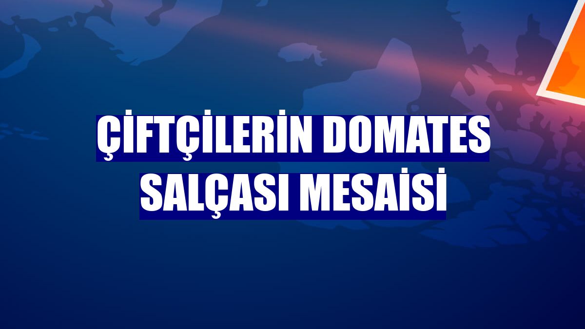 Çiftçilerin domates salçası mesaisi