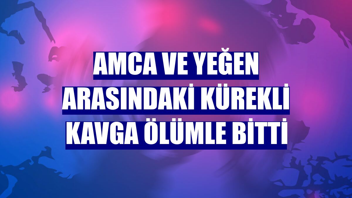 Amca ve yeğen arasındaki kürekli kavga ölümle bitti