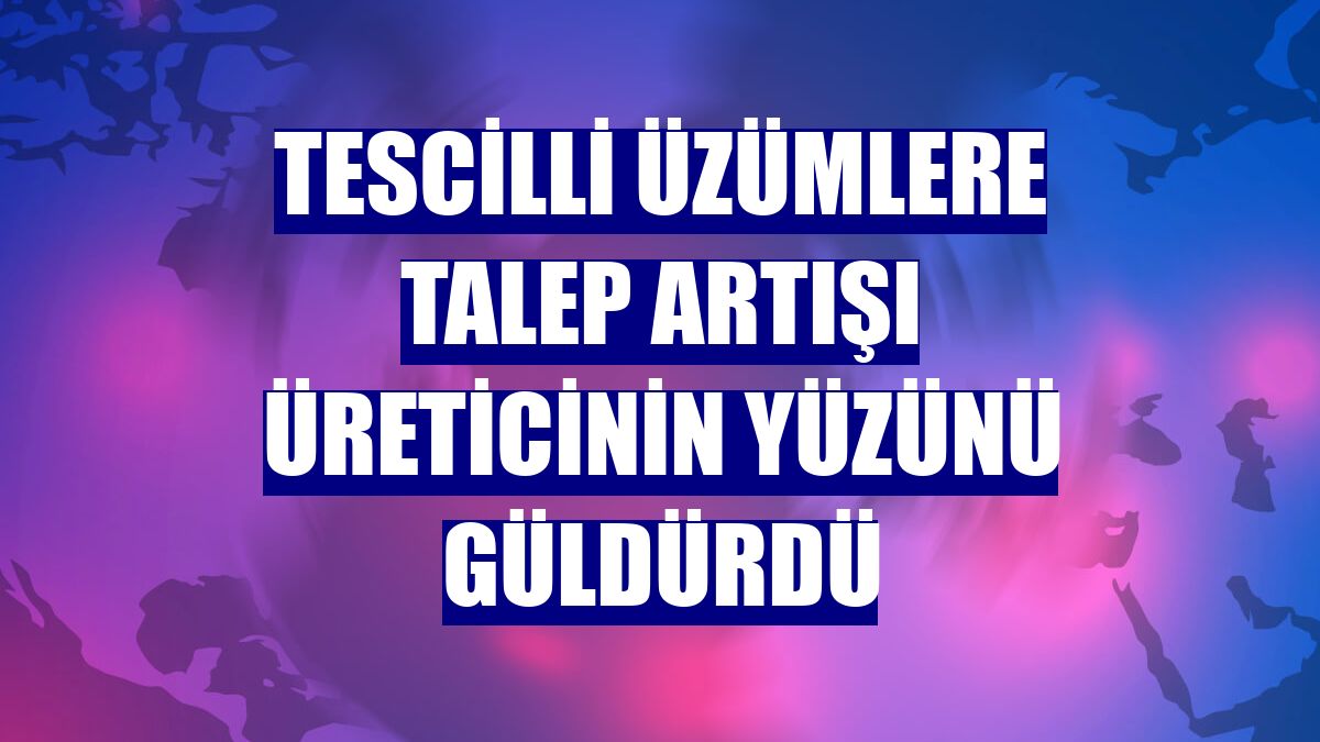 Tescilli üzümlere talep artışı üreticinin yüzünü güldürdü