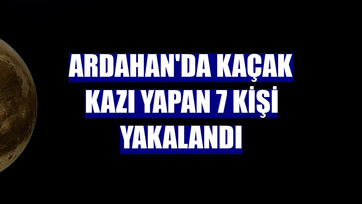 Ardahan'da kaçak kazı yapan 7 kişi yakalandı