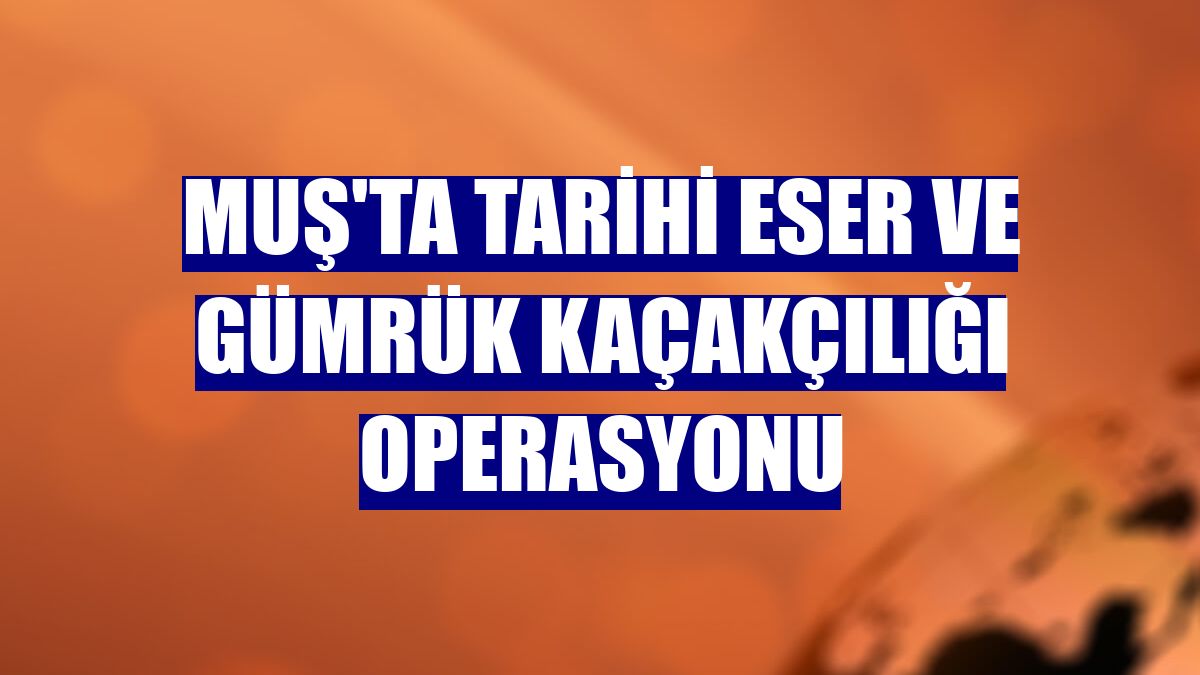 Muş'ta tarihi eser ve gümrük kaçakçılığı operasyonu