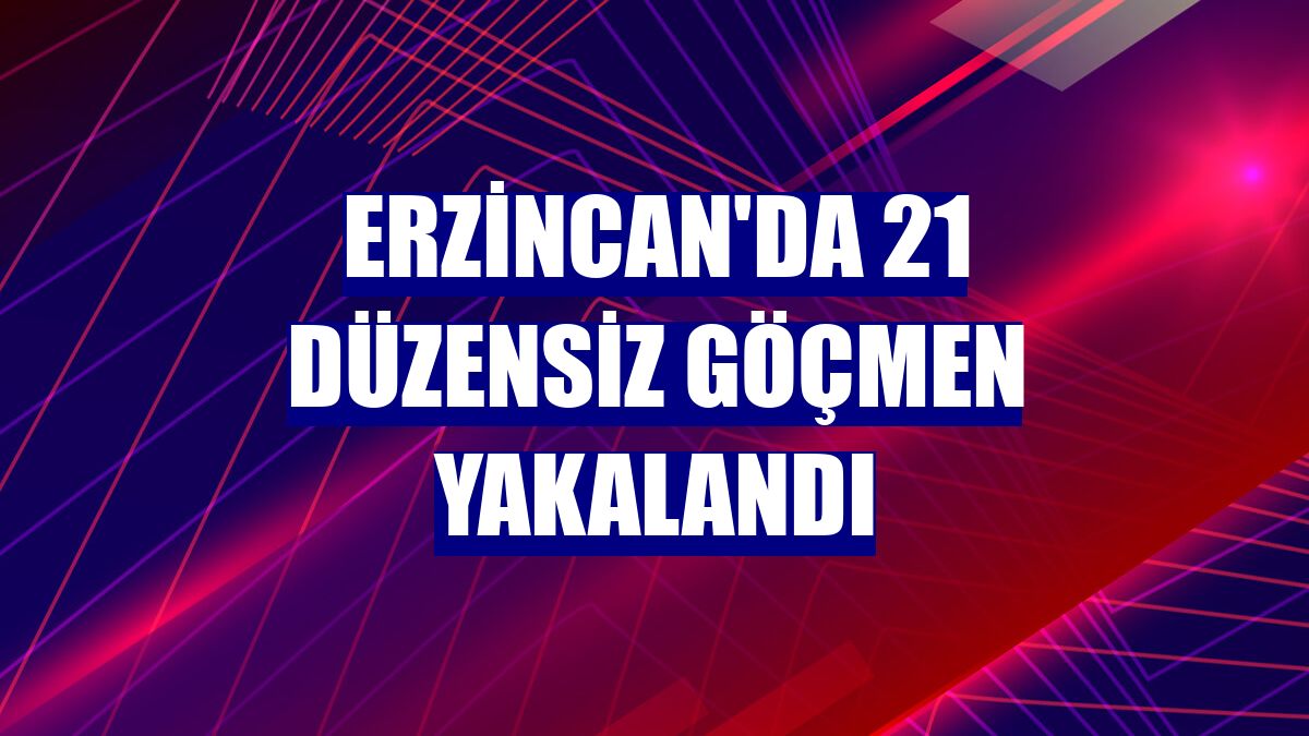 Erzincan'da 21 düzensiz göçmen yakalandı