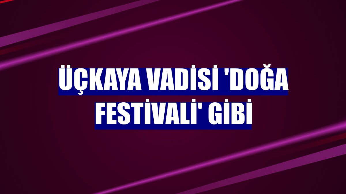 Üçkaya Vadisi 'doğa festivali' gibi