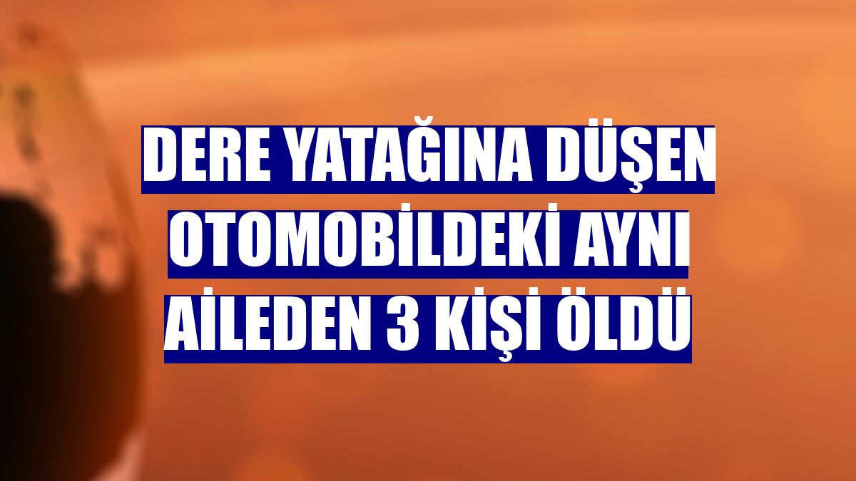 Dere yatağına düşen otomobildeki aynı aileden 3 kişi öldü