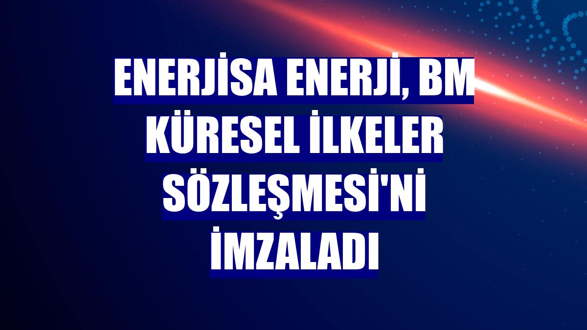 Enerjisa Enerji, BM Küresel İlkeler Sözleşmesi'ni imzaladı