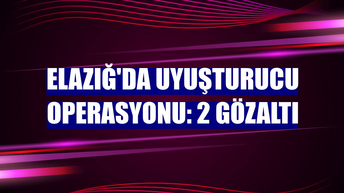 Elazığ'da uyuşturucu operasyonu: 2 gözaltı