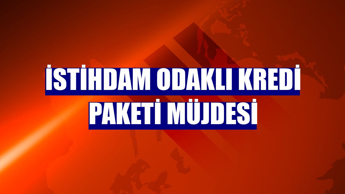 İstihdam odaklı kredi paketi müjdesi